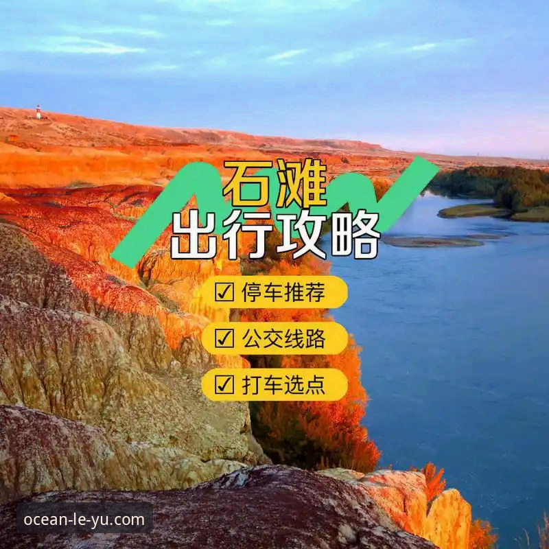 乐鱼用户评价怎么下载 乐鱼体育平台用户评价获取全攻略:从下载到体验的完整指南